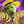 Avatar for Don_Christov